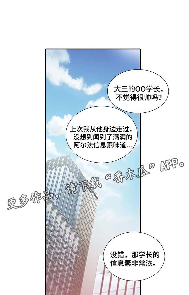 第62章：名字的由来5