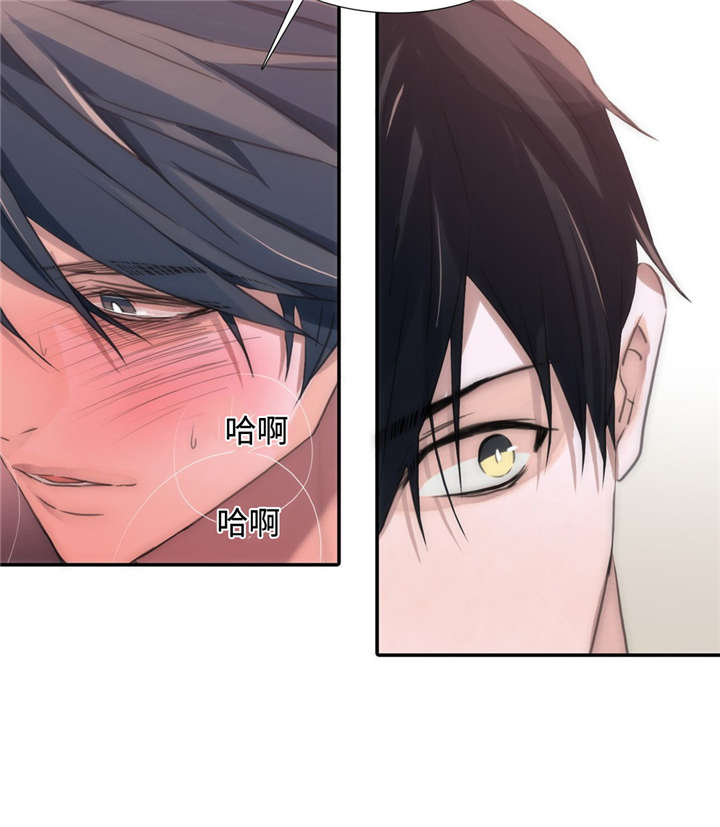 第20章：负责5
