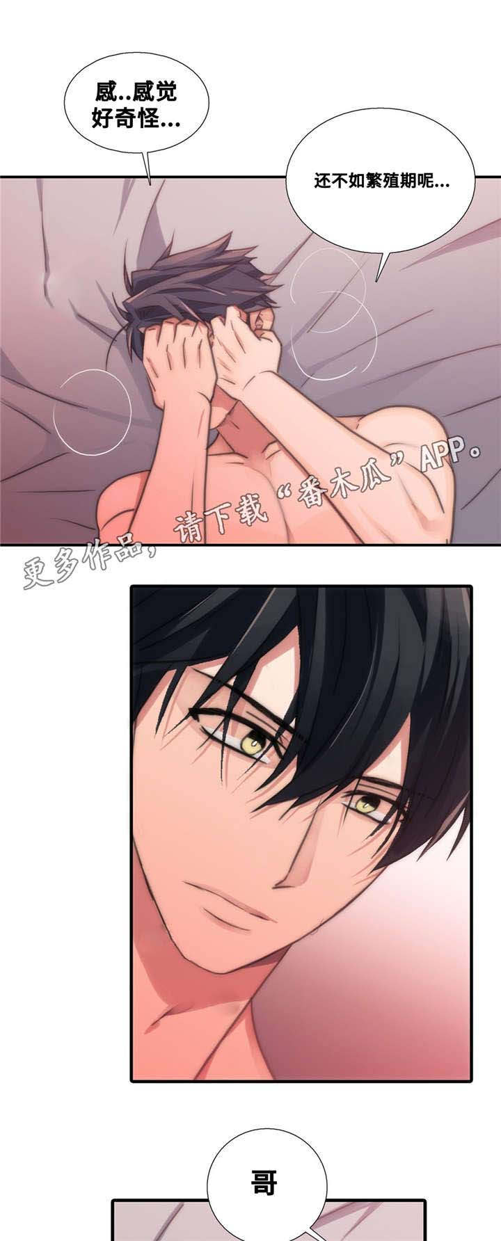 第46章：要好好记住8