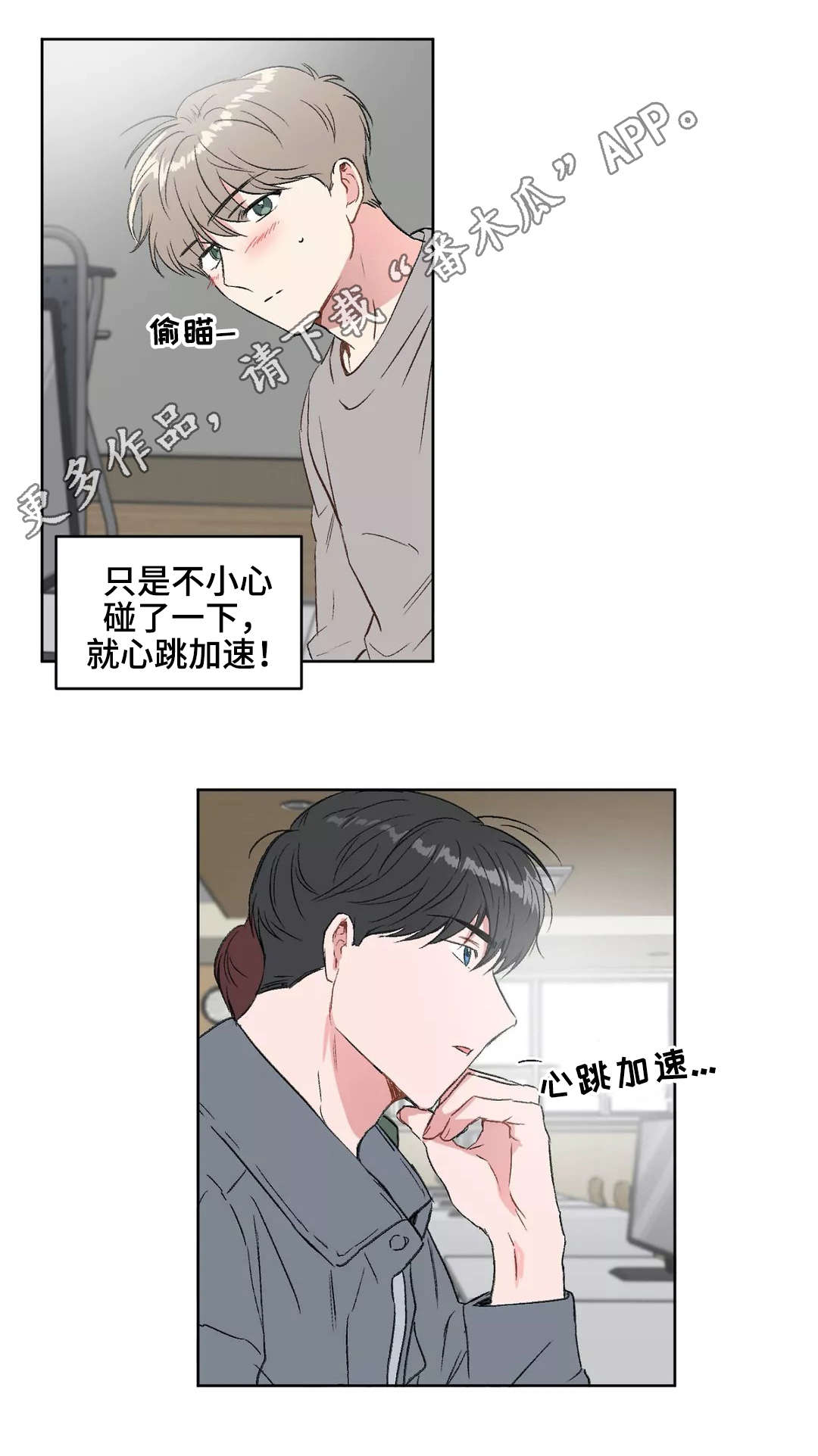 第19章：分组11
