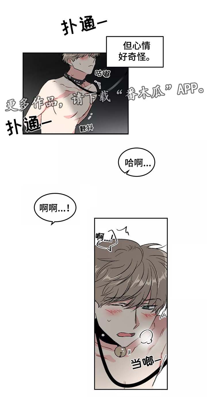 第28章：计划6