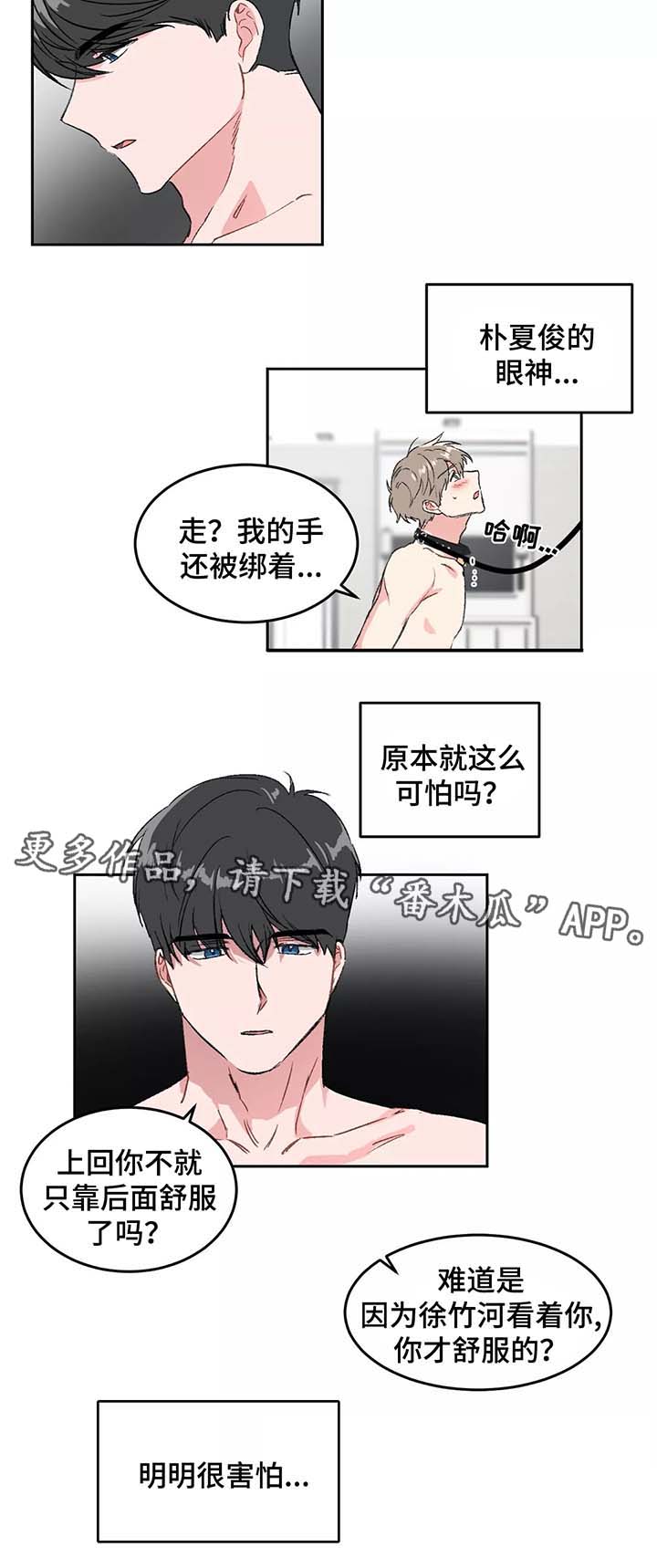 第28章：计划5