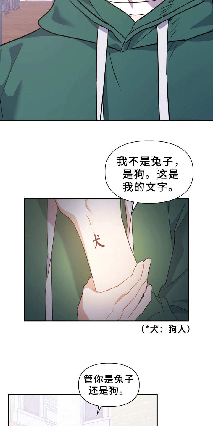 第10章：提议17