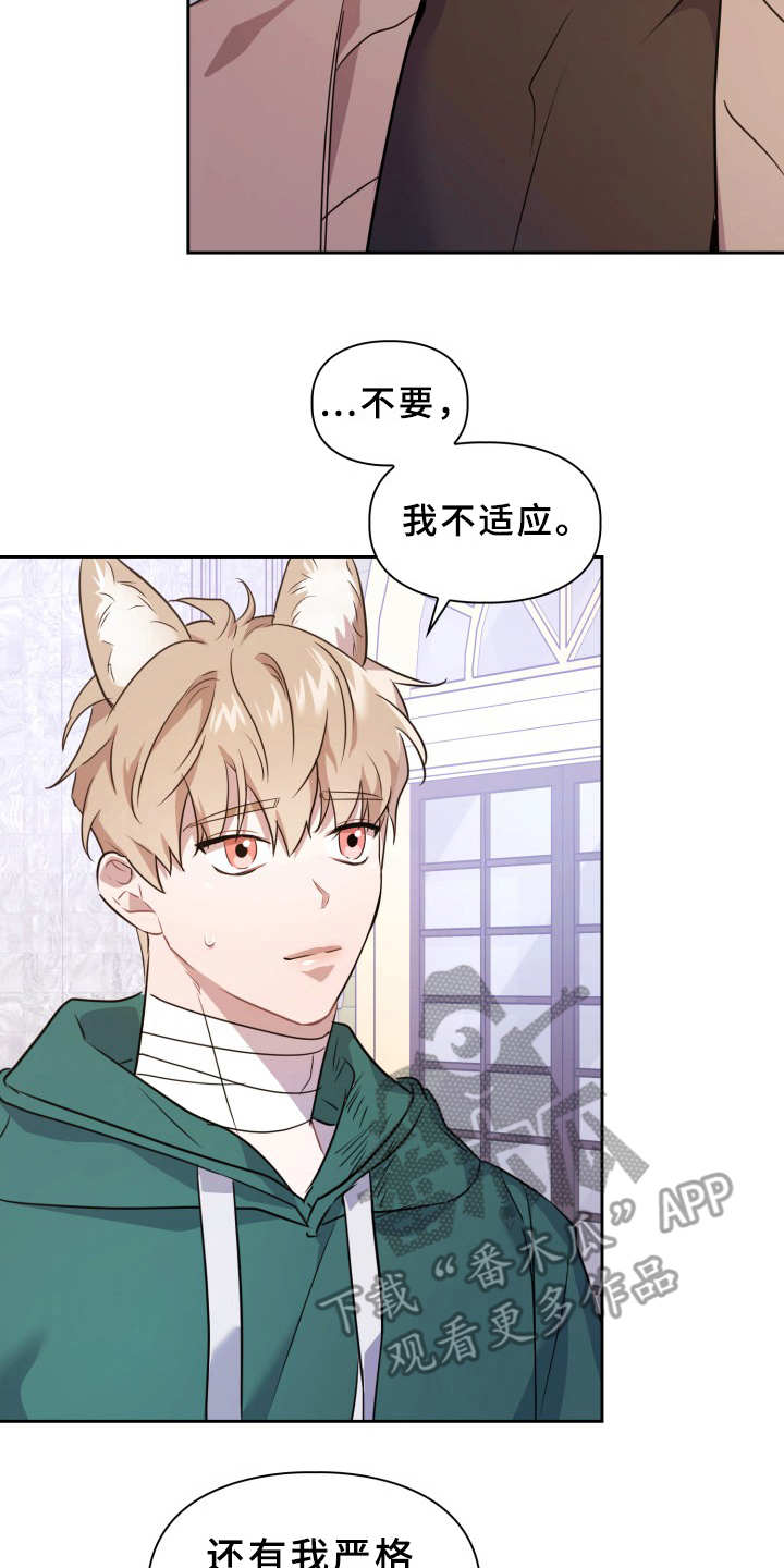 第11章：不适应17