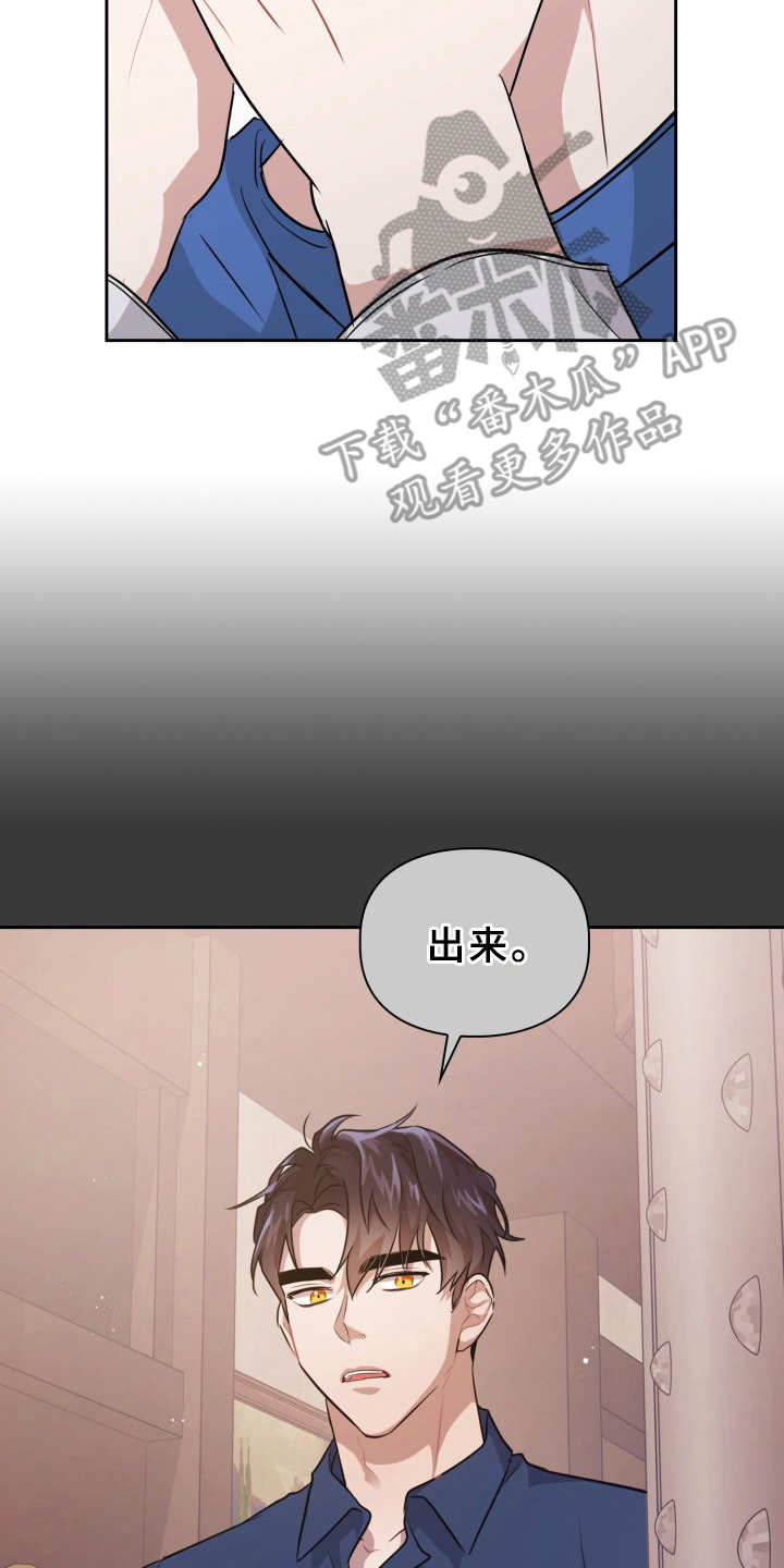 第14章：信息素16