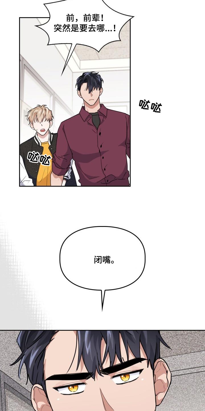 第28章：疼痛2