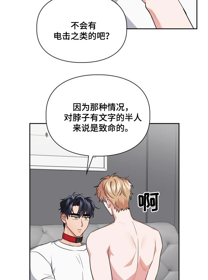 第73章：【第二季】因为喜欢15