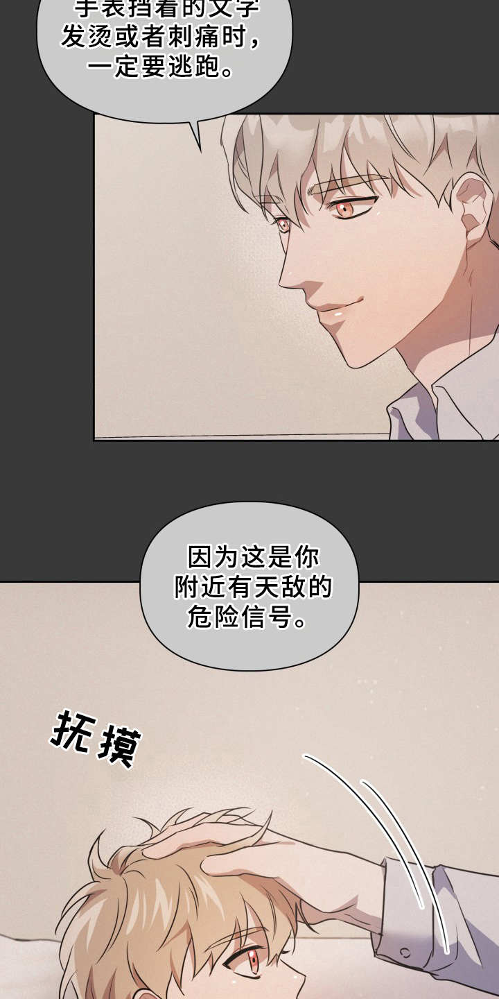 第3章：刺痛感21