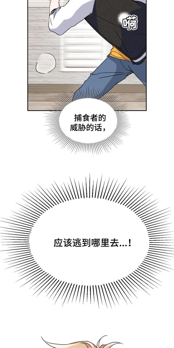 第29章：捕食者的威胁12