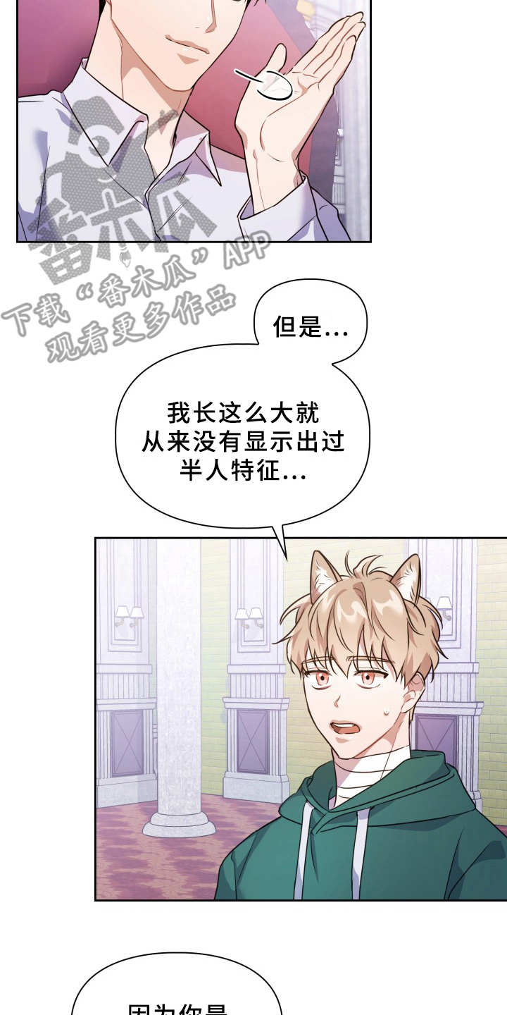 第11章：不适应7