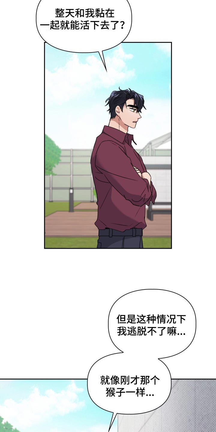 第31章：没有任何责任14