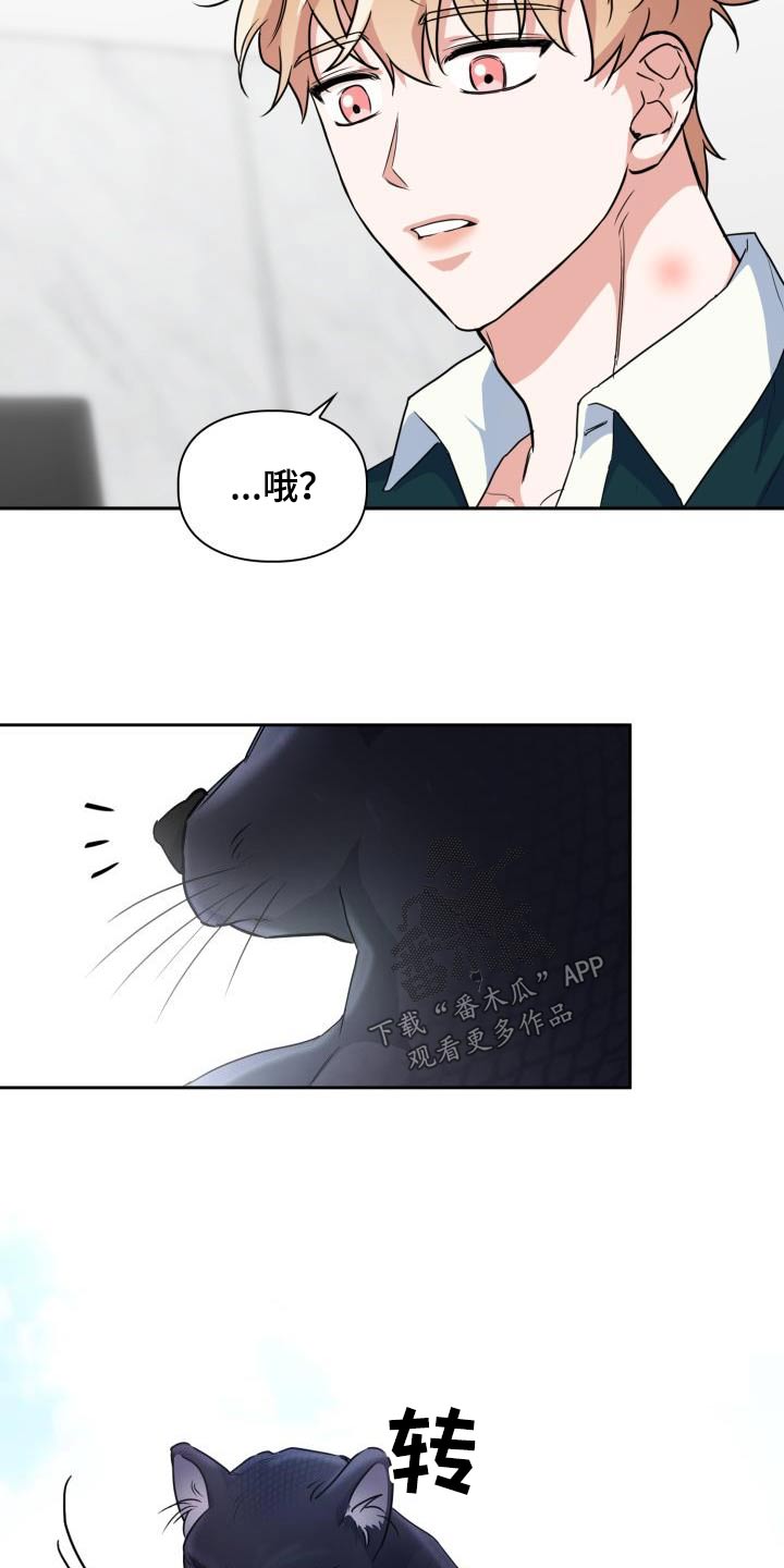 第86章：【第二季】豹子15