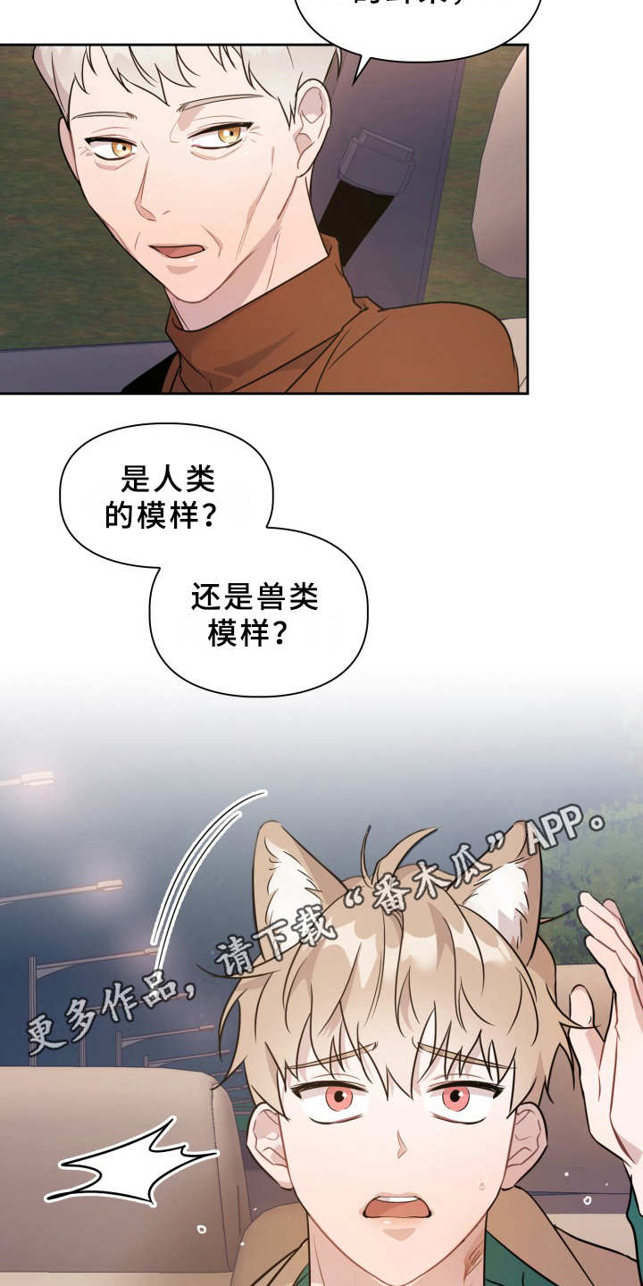 第8章：耳朵8