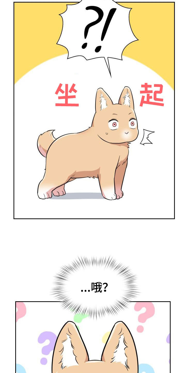 第122章：【第二季】闹翻天29