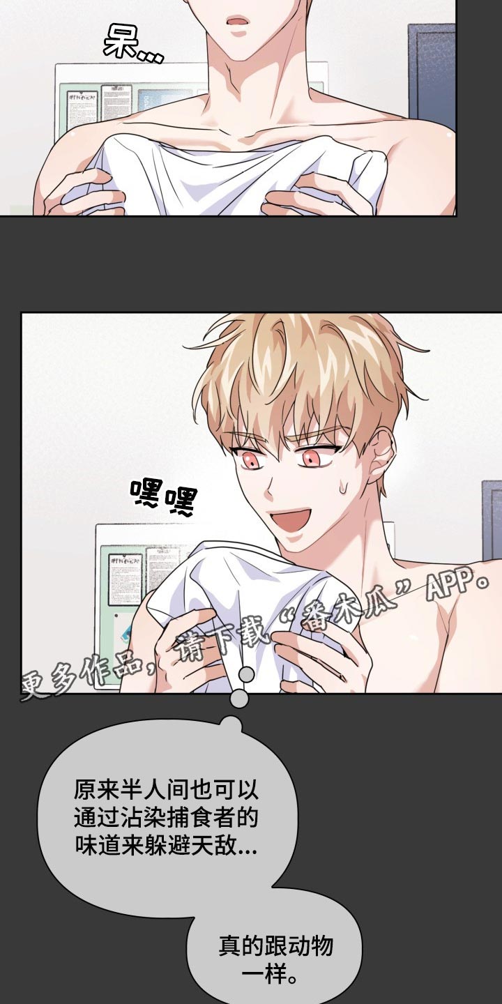 第22章：躲避天敌16