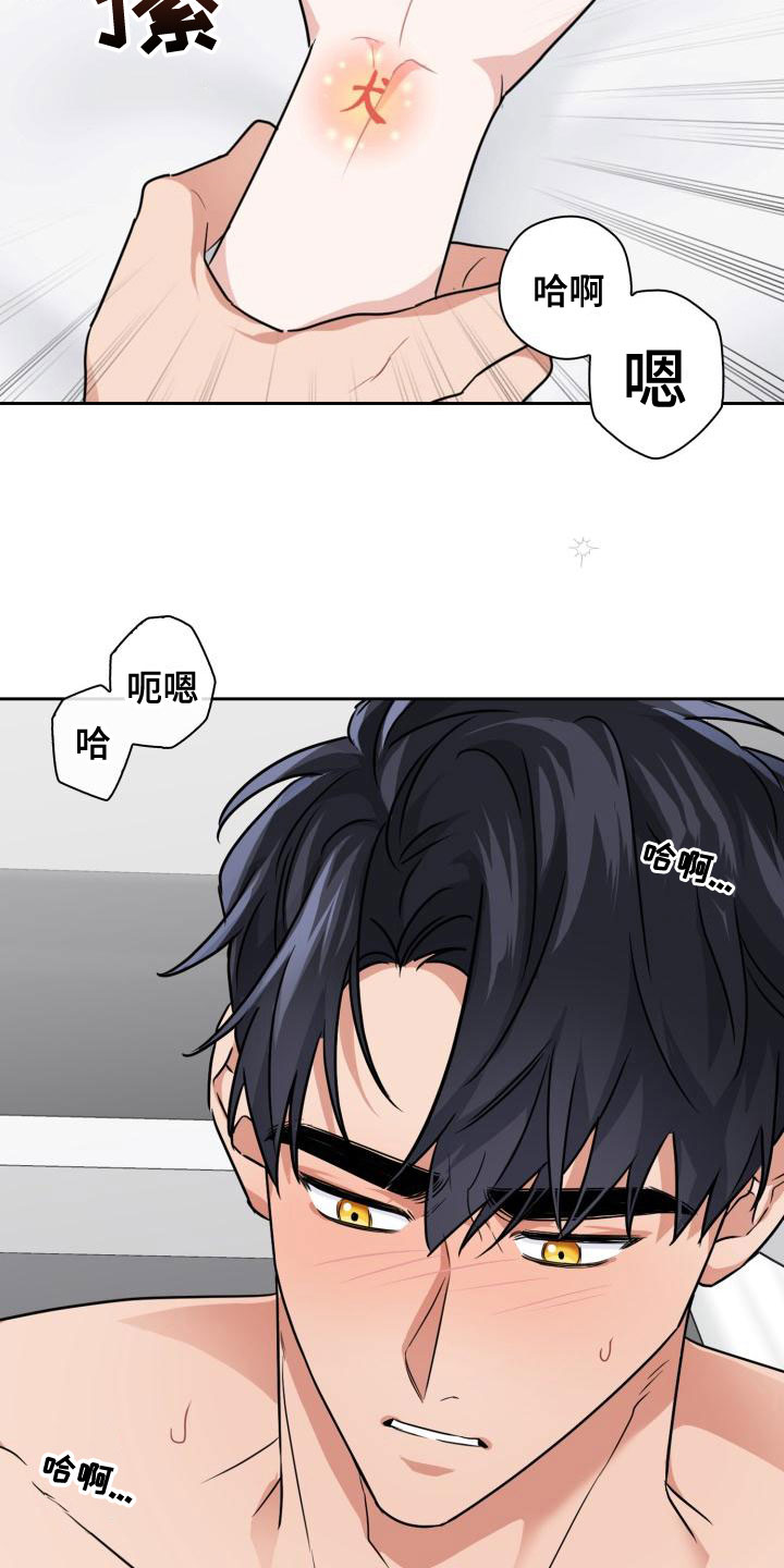 第61章：控制不住自己19