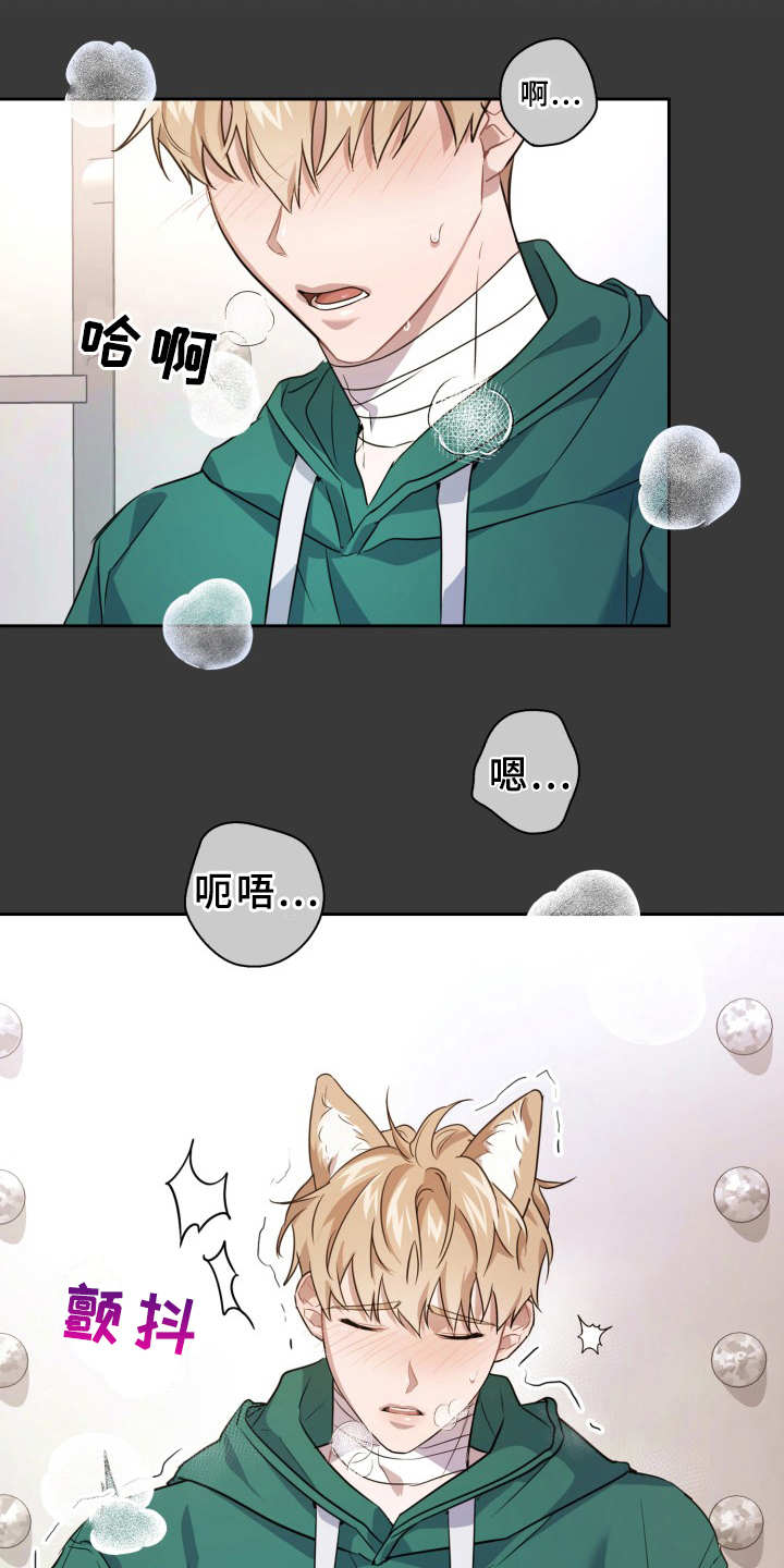 第14章：信息素11