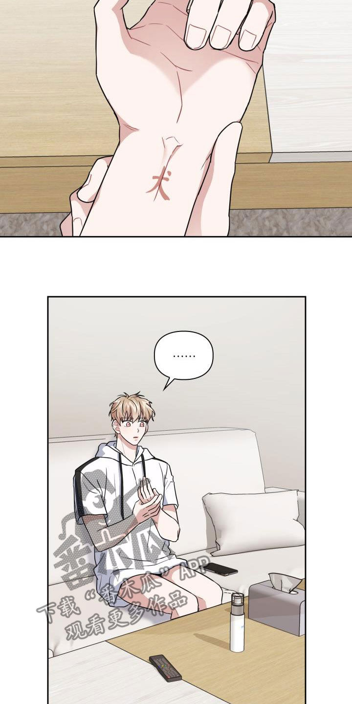 第50章：酒局10