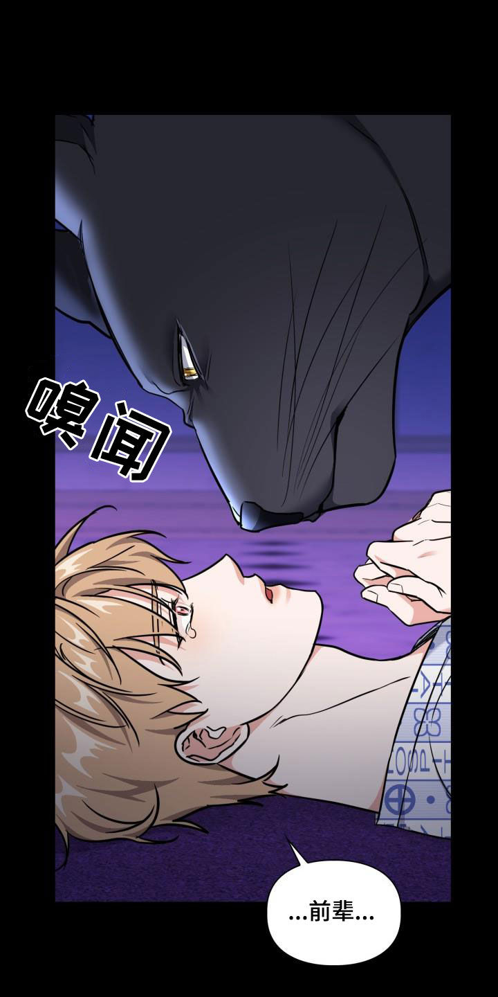 第141章：【第二季】遵守约定16