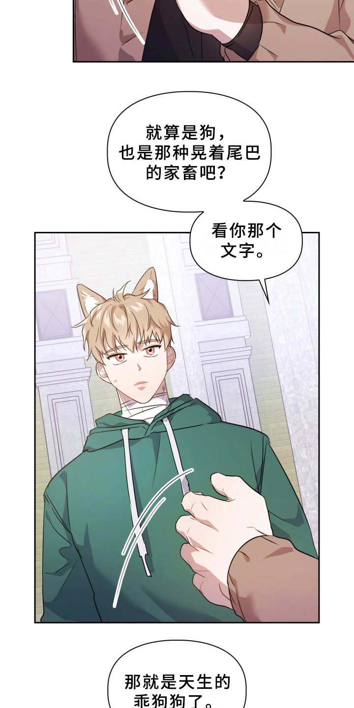 第11章：不适应19