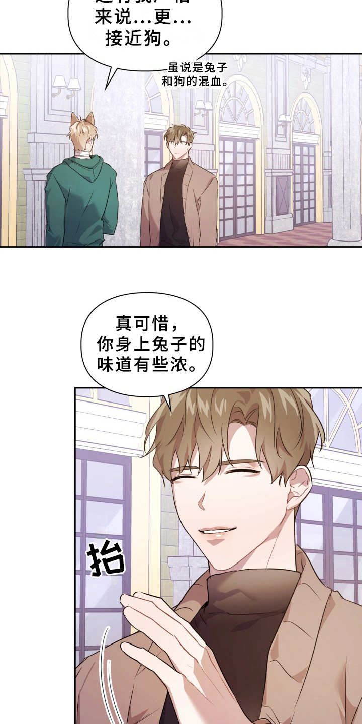 第11章：不适应18