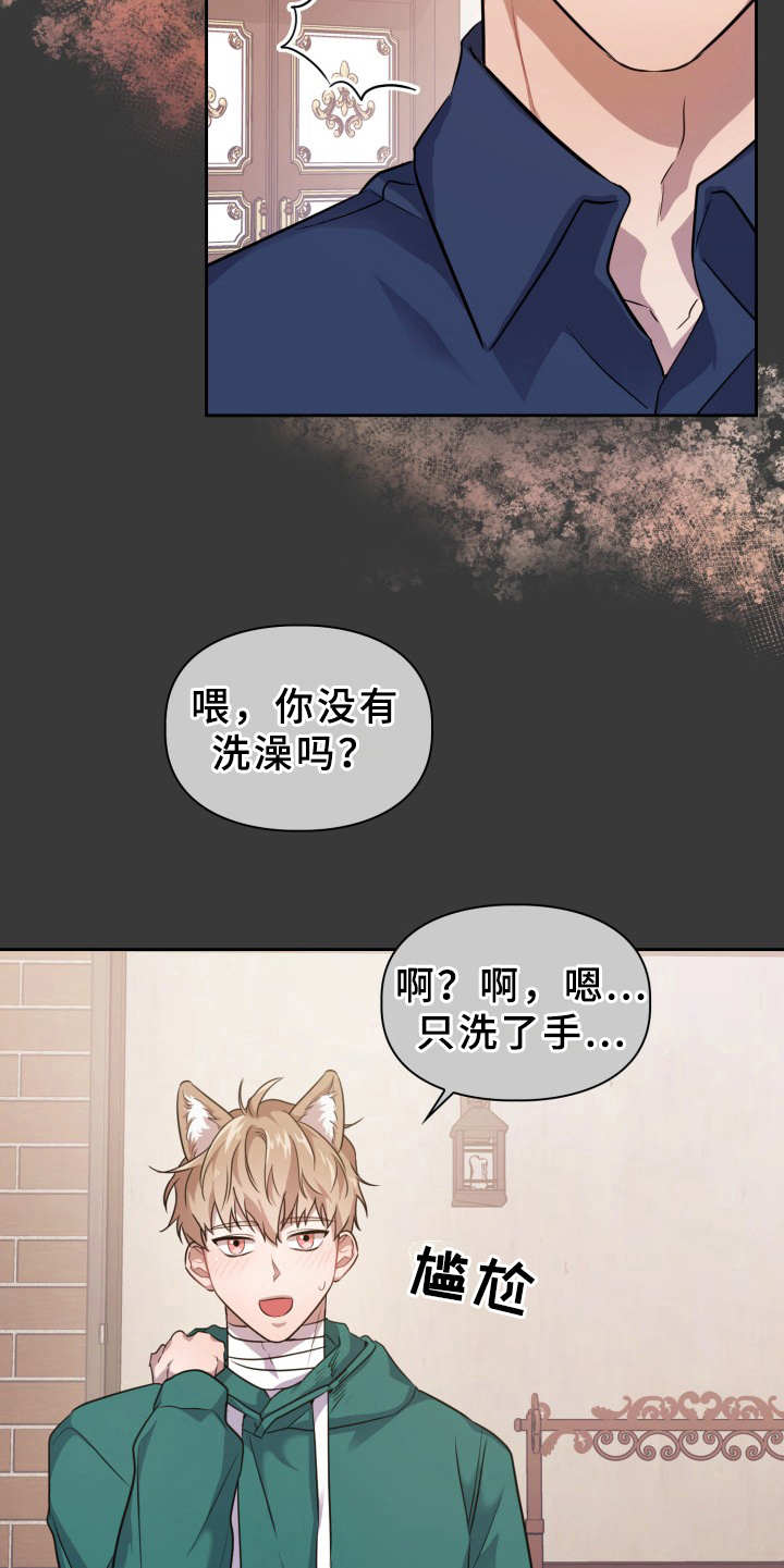 第14章：信息素18