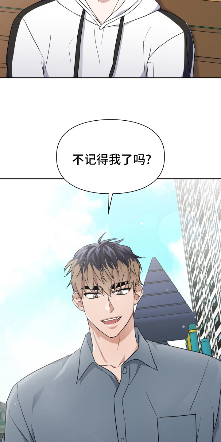 第41章：原因19