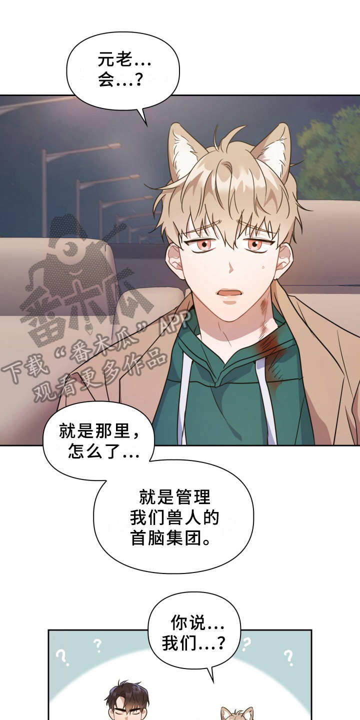 第8章：耳朵6