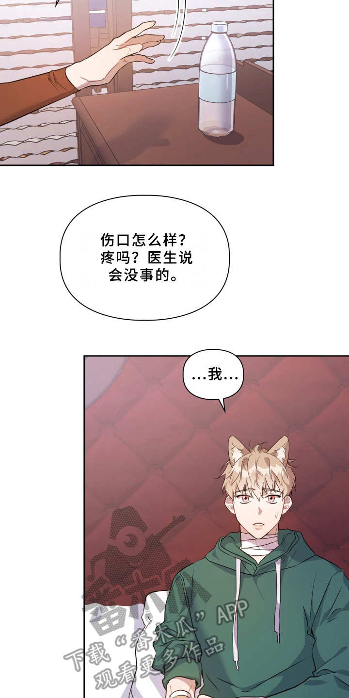 第8章：耳朵17