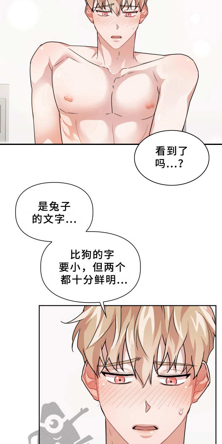 第21章：两个文字20