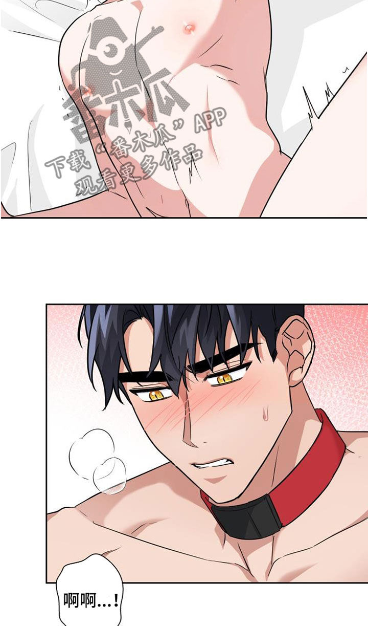 第78章：【第二季】权限25