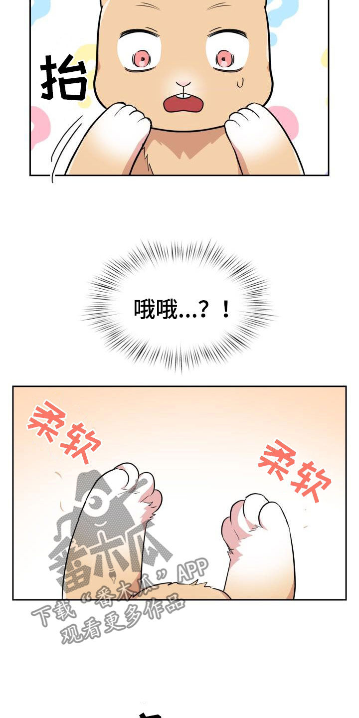 第122章：【第二季】闹翻天30