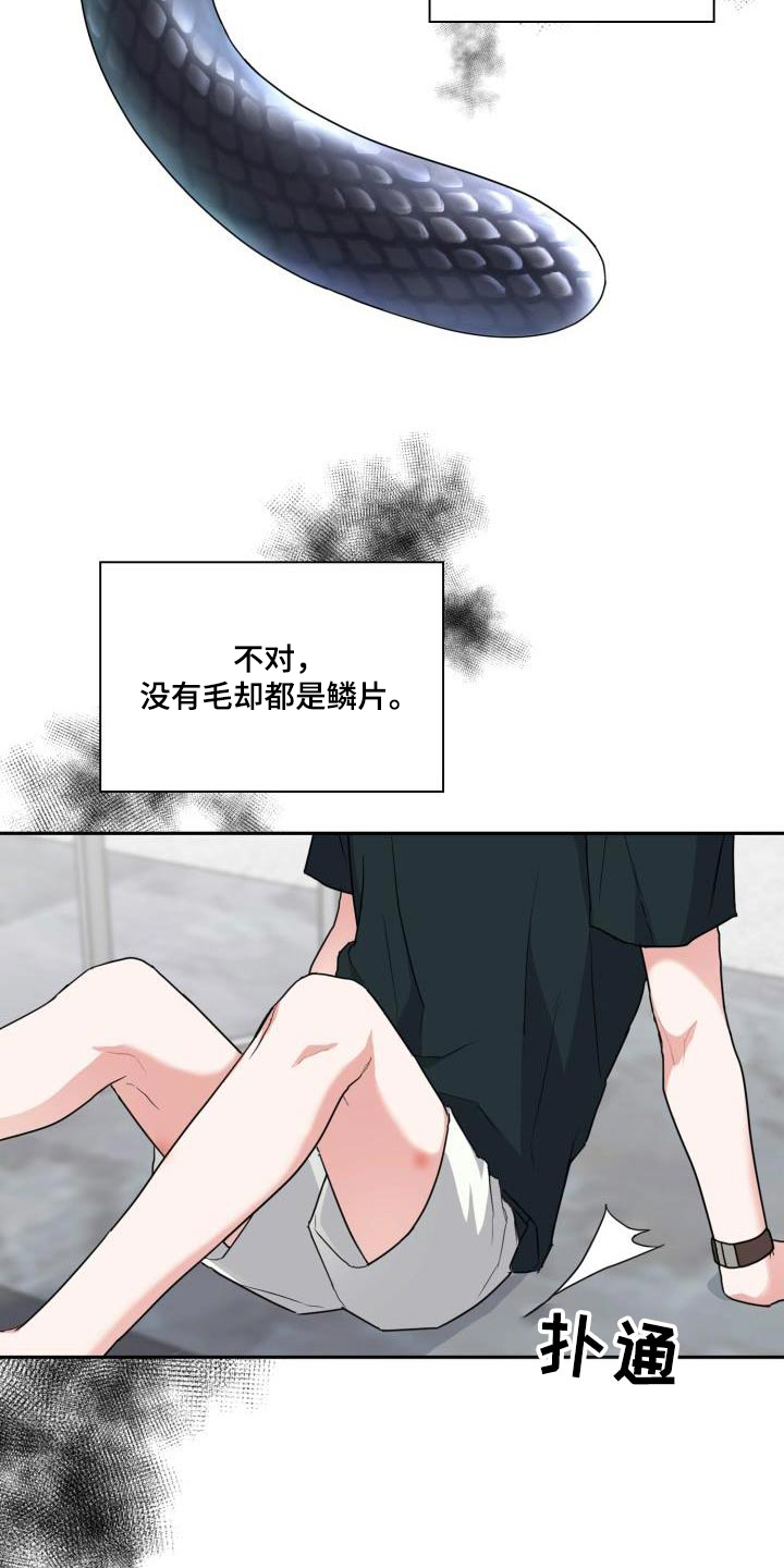 第86章：【第二季】豹子18