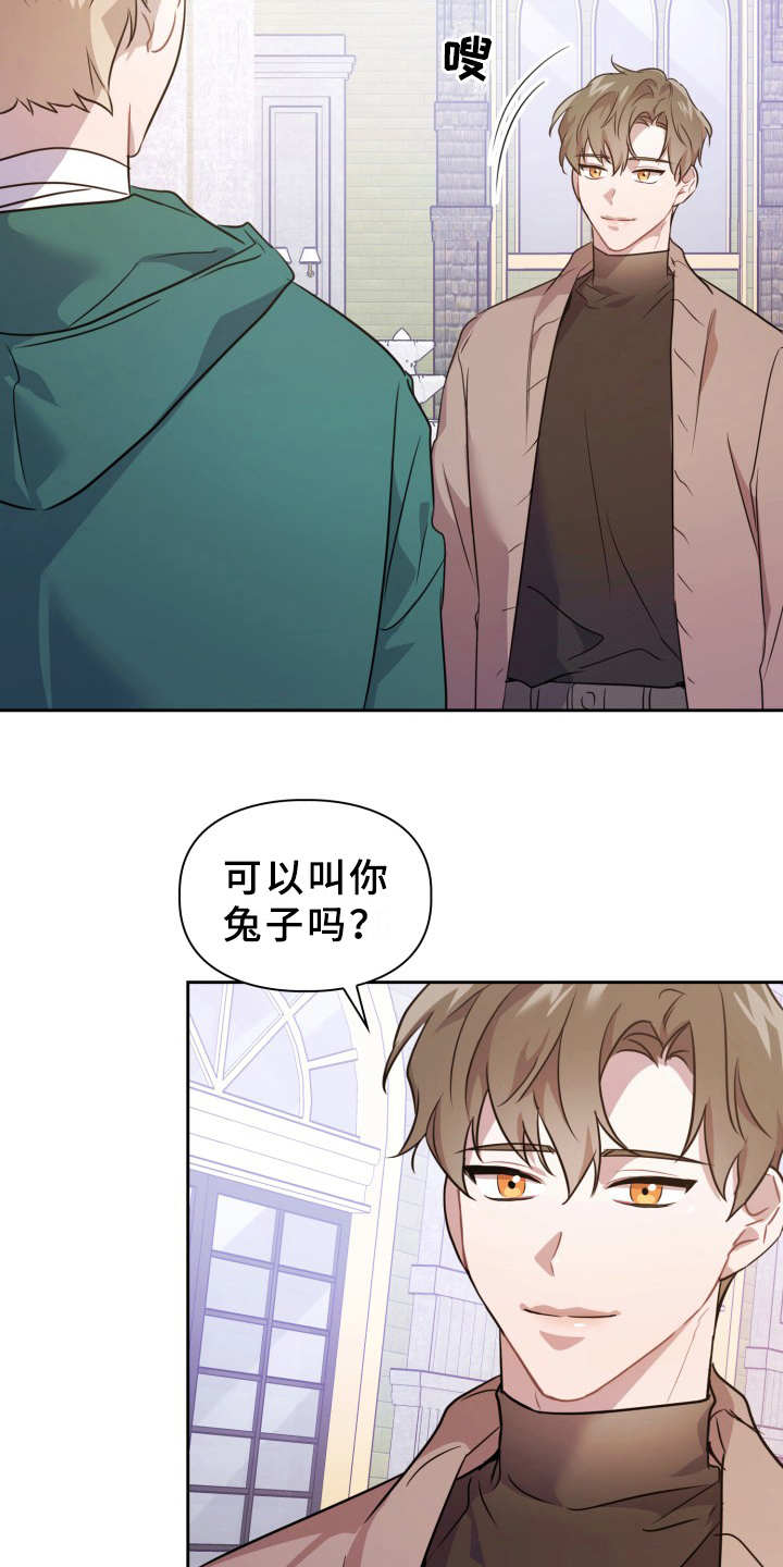 第11章：不适应16