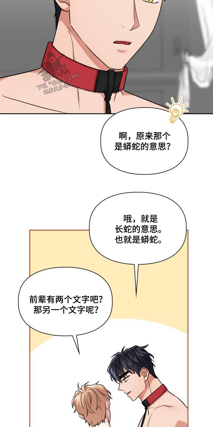 第74章：【第二季】蟒蛇文14