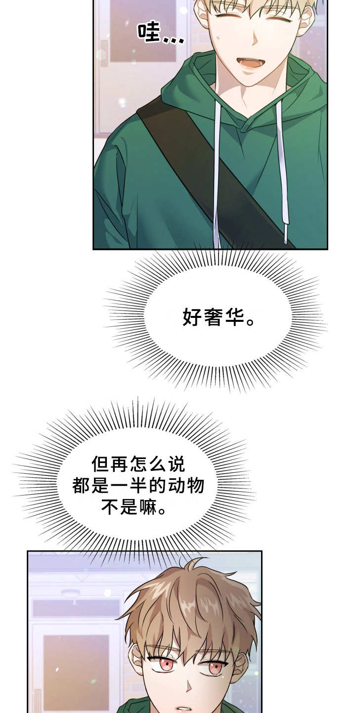 第1章：在哪见过16