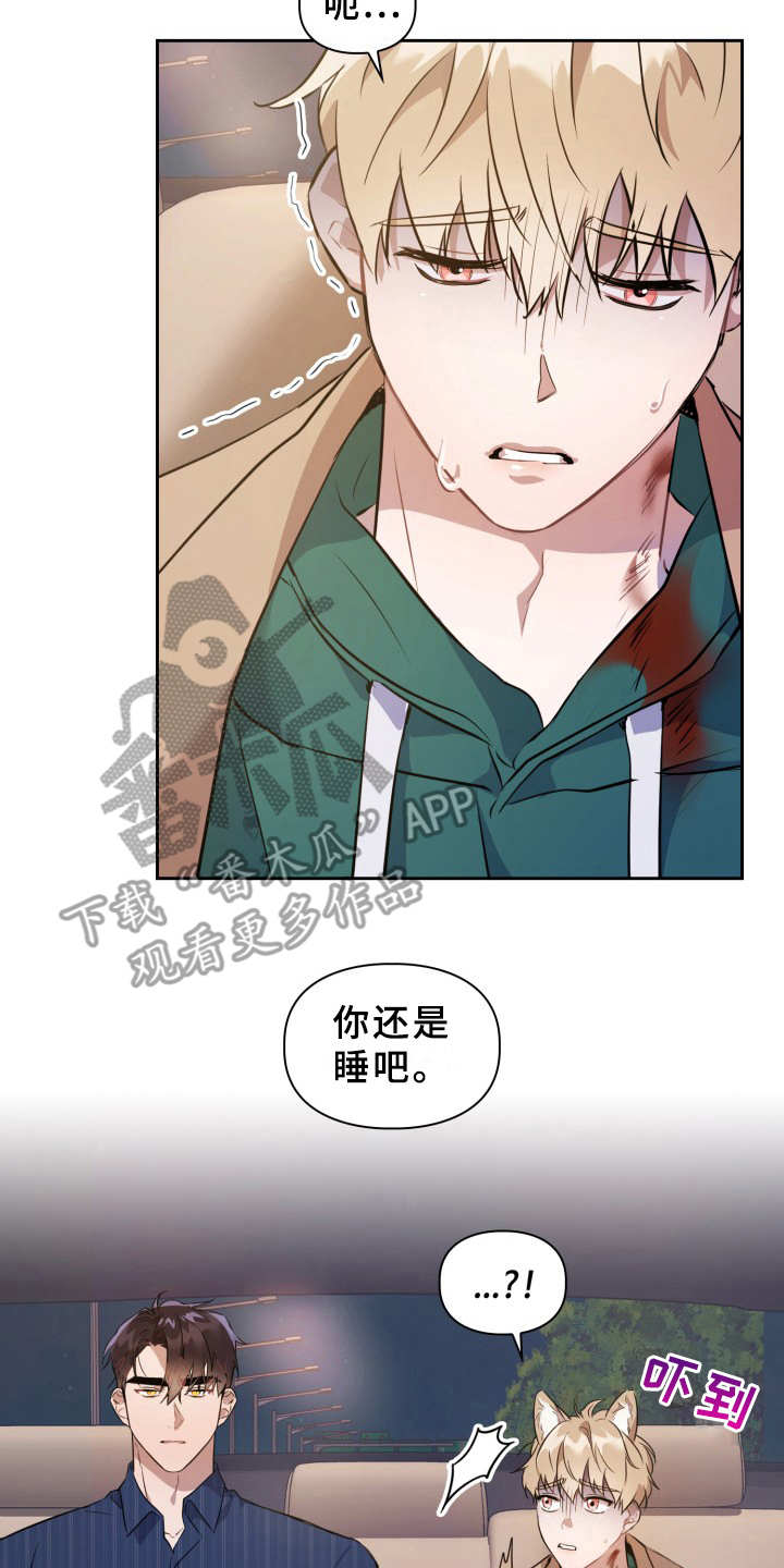 第8章：耳朵1