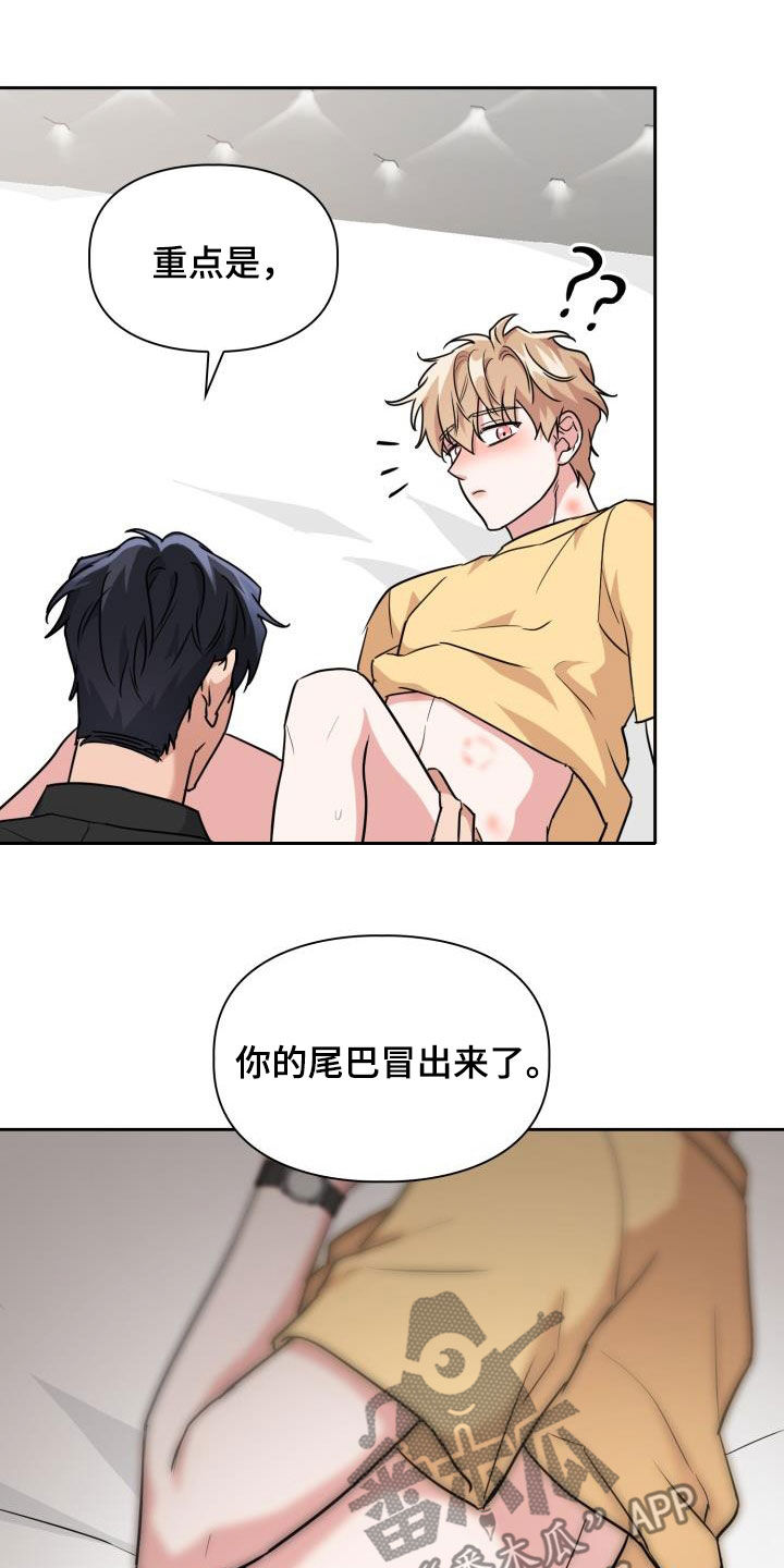 第84章：【第二季】尾巴19