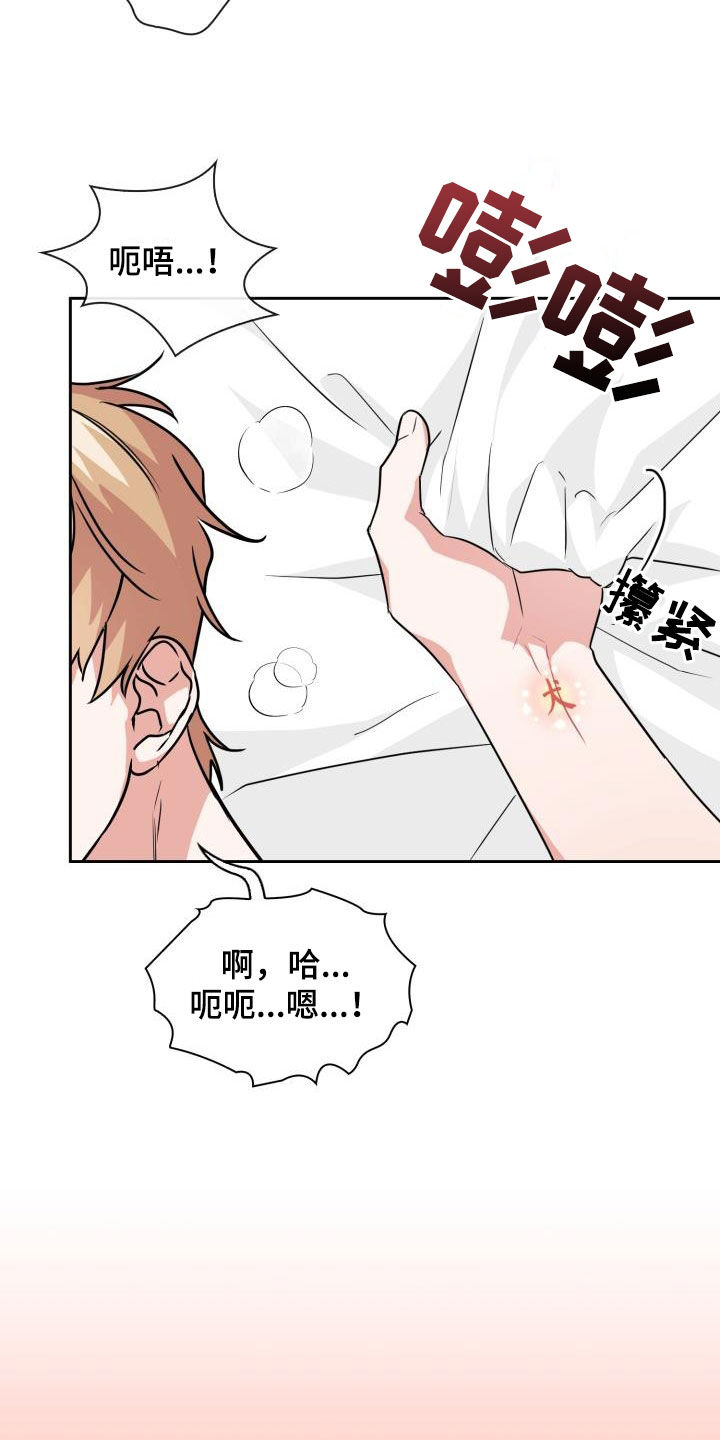 第78章：【第二季】权限26
