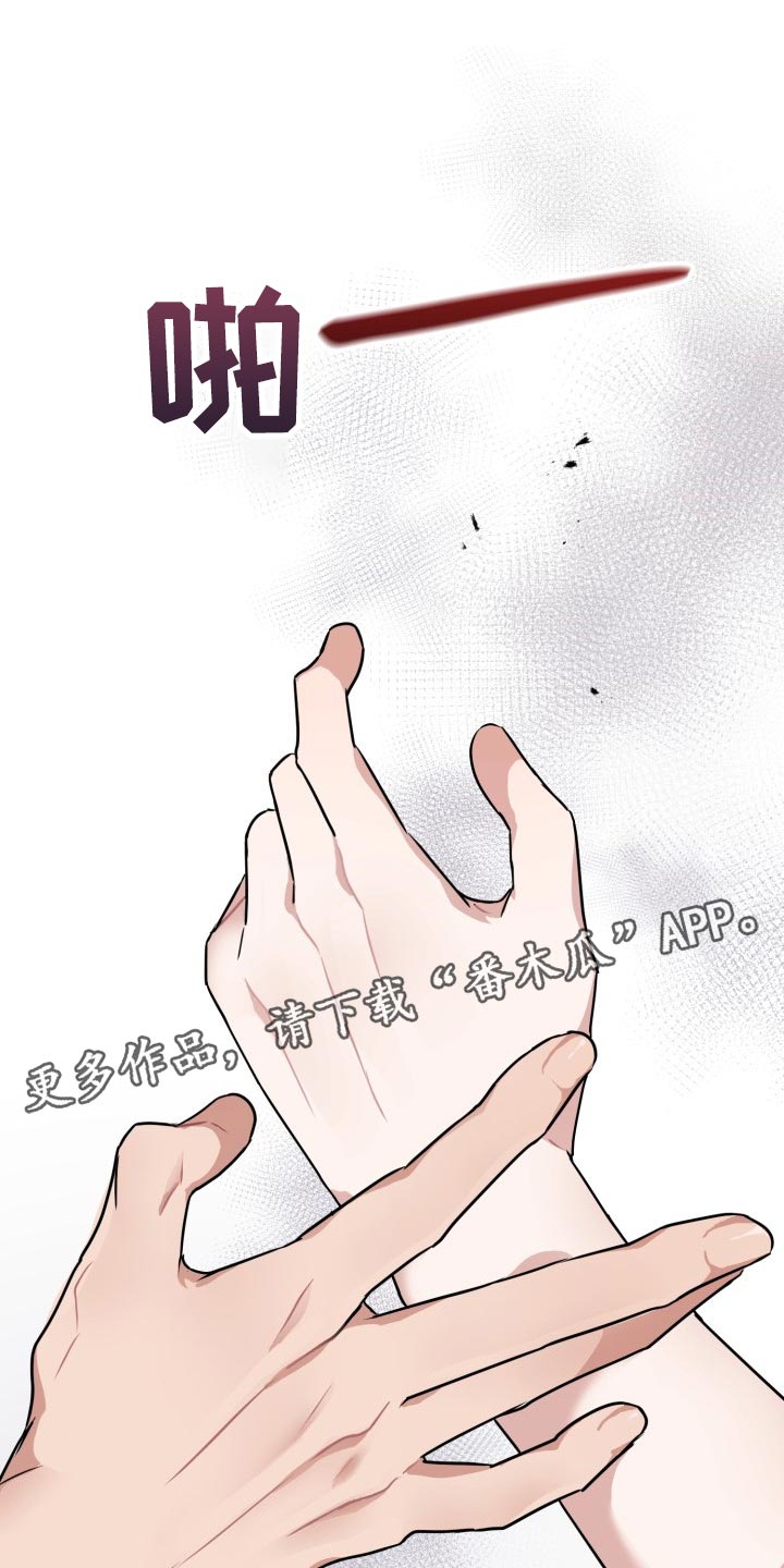 第31章：没有任何责任20