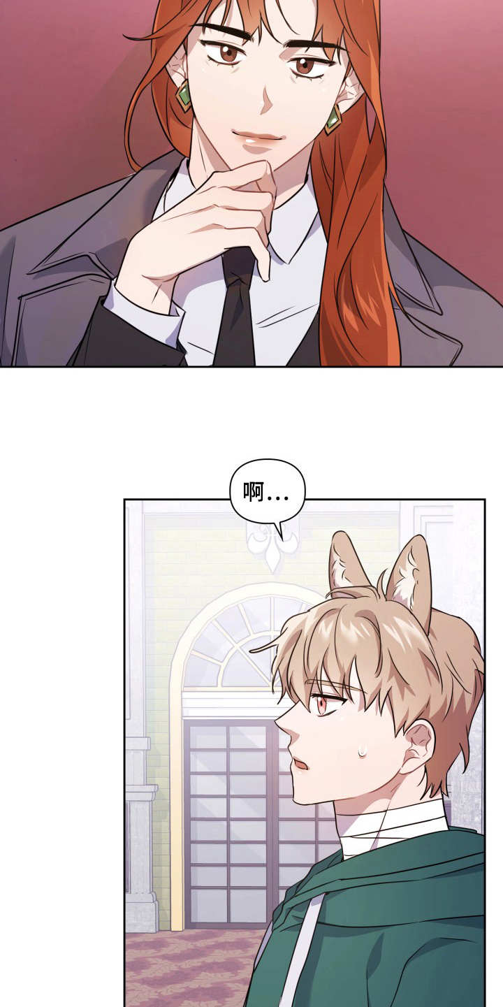 第10章：提议19