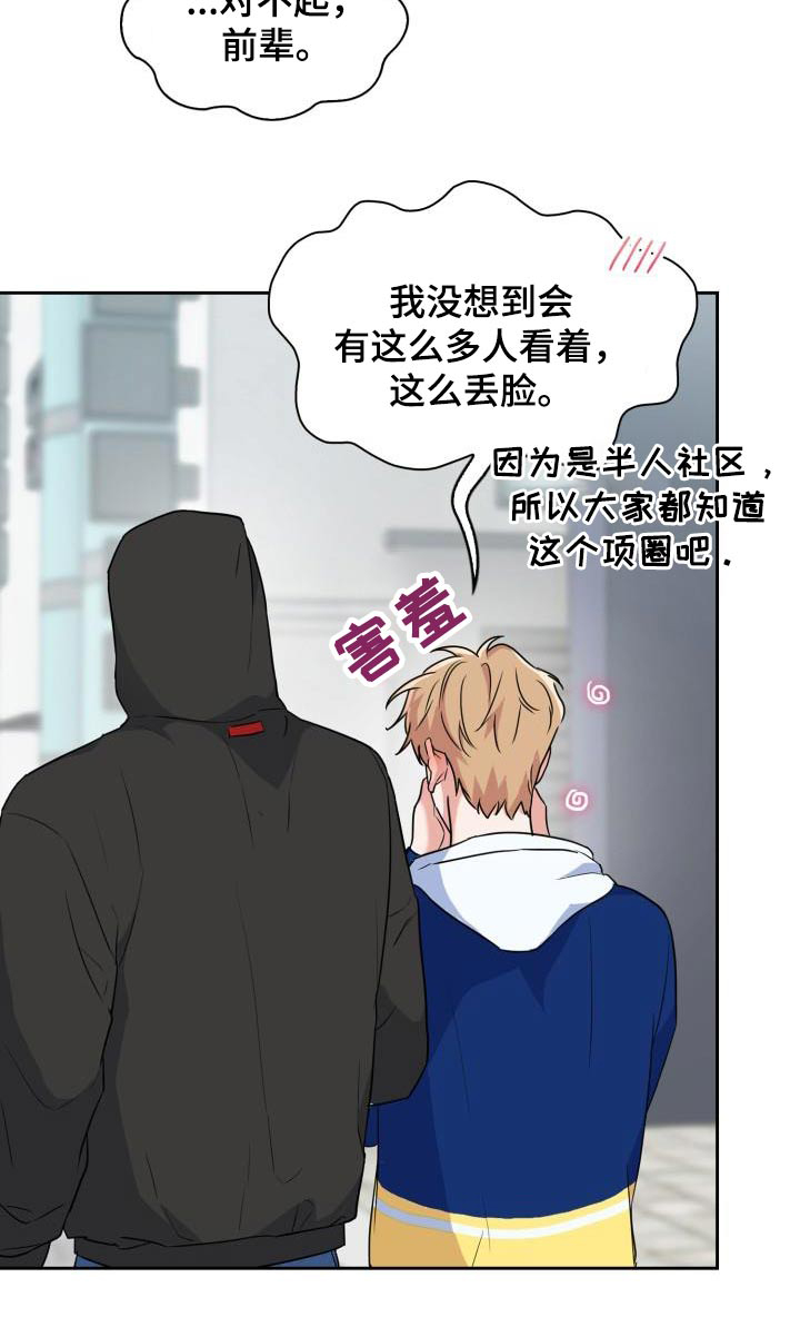 第71章：【第二季】项圈21