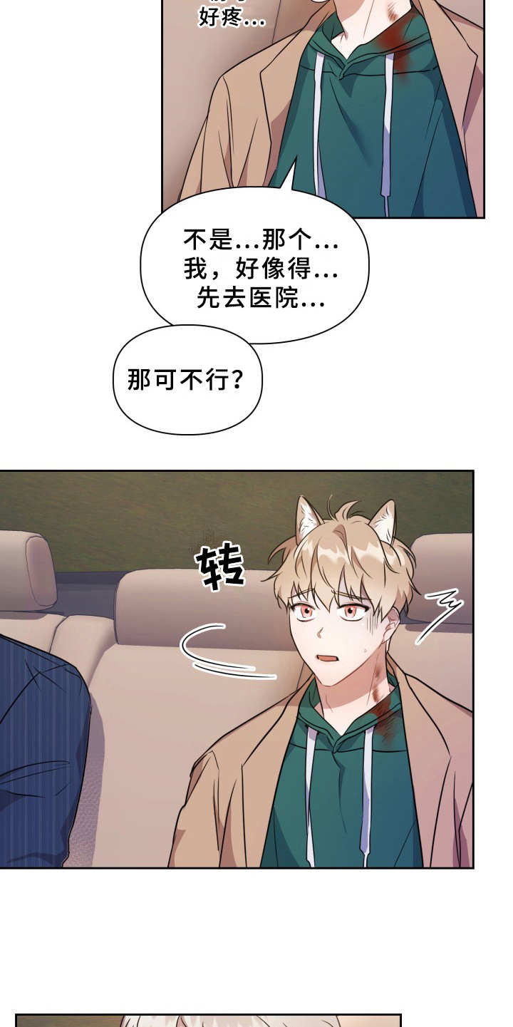 第8章：耳朵4