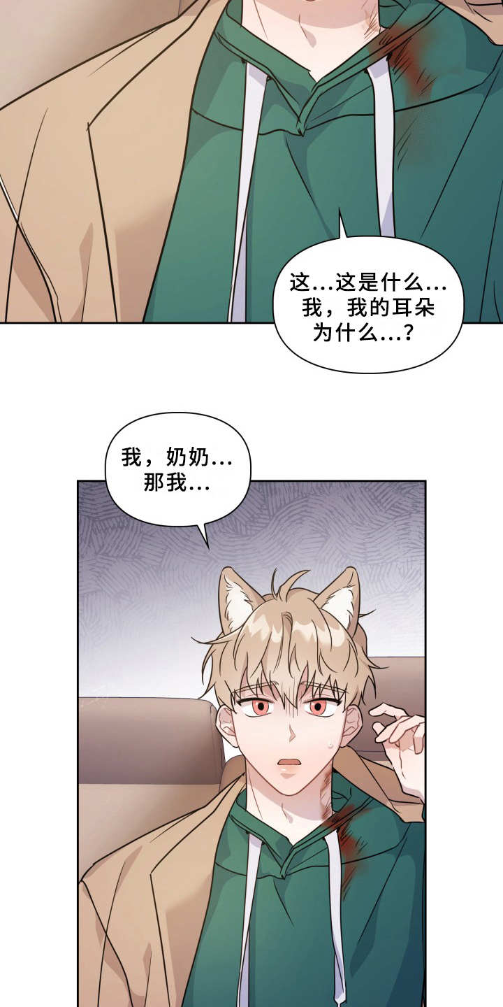 第8章：耳朵9