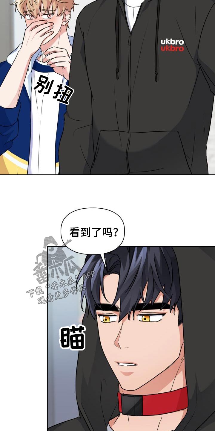 第71章：【第二季】项圈19
