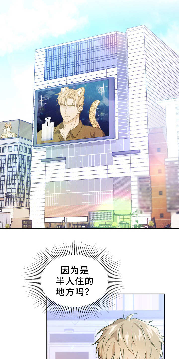 第1章：在哪见过15