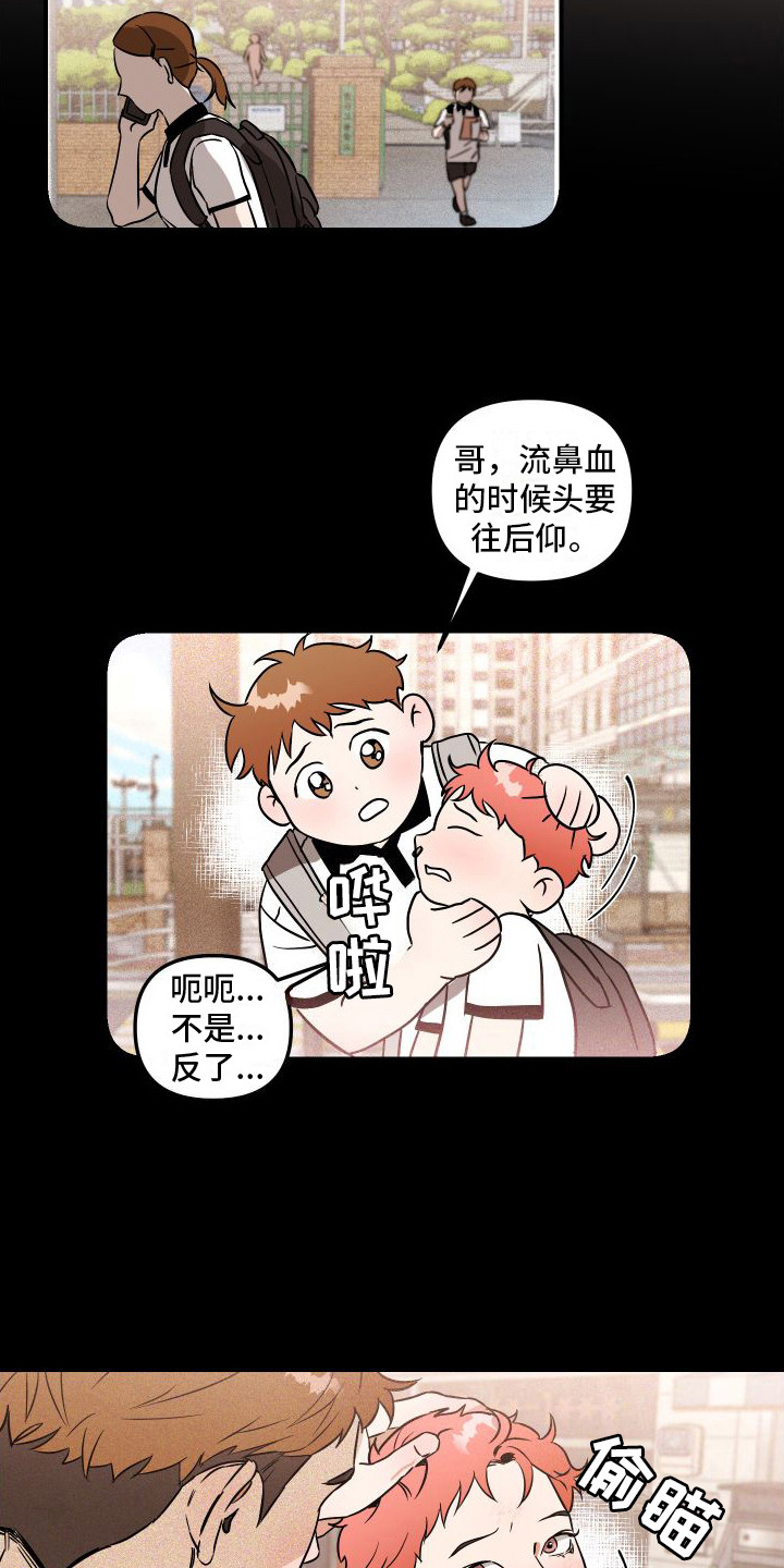 第2章：理想型11