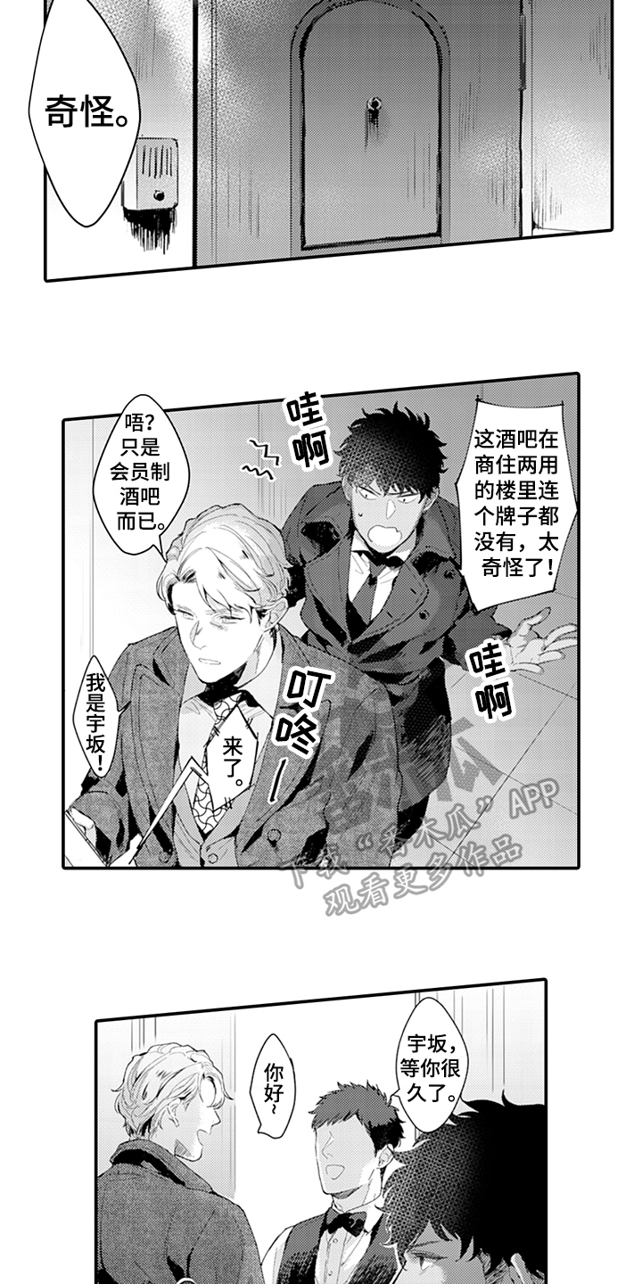 第18章：酒吧11