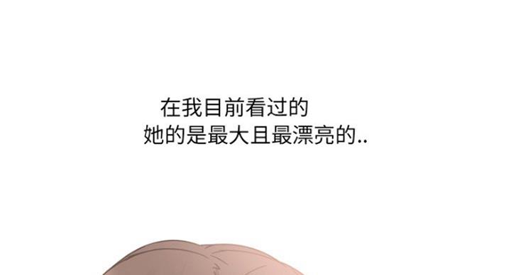 第33话48