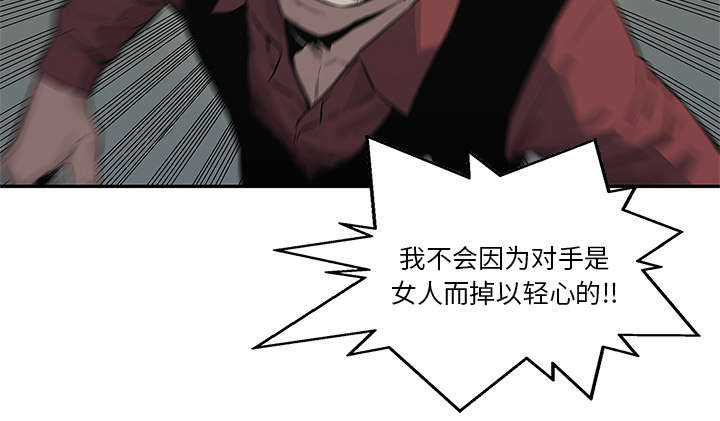 第87章：粉碎29